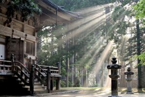 sun-rays-7387131_1280-300x200 Japão: O Boom do Turismo Rural